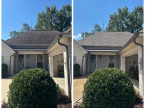 Before and after view of a house roof showing the removal of dark stains from the shingles after a cleaning service.