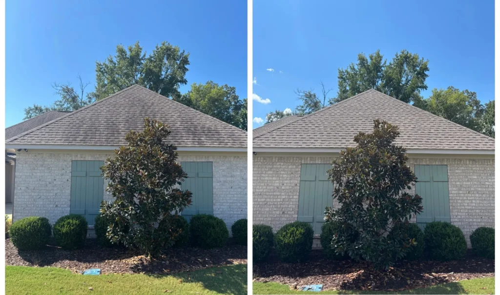Before and after roof cleaning in Brandon, MS.