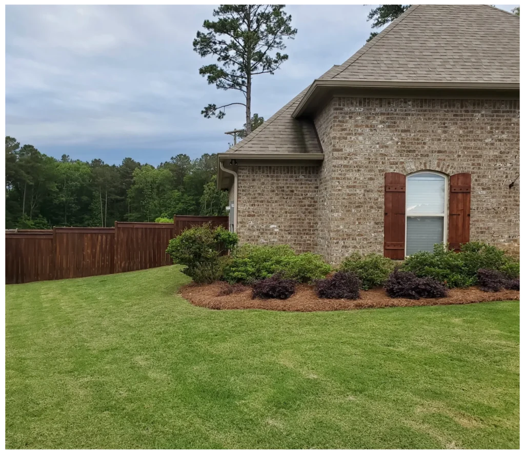 House washed in Brandon, MS.
