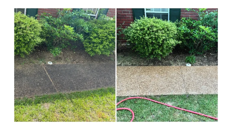 Before and after picture of concrete cleaning in Brandon, MS.